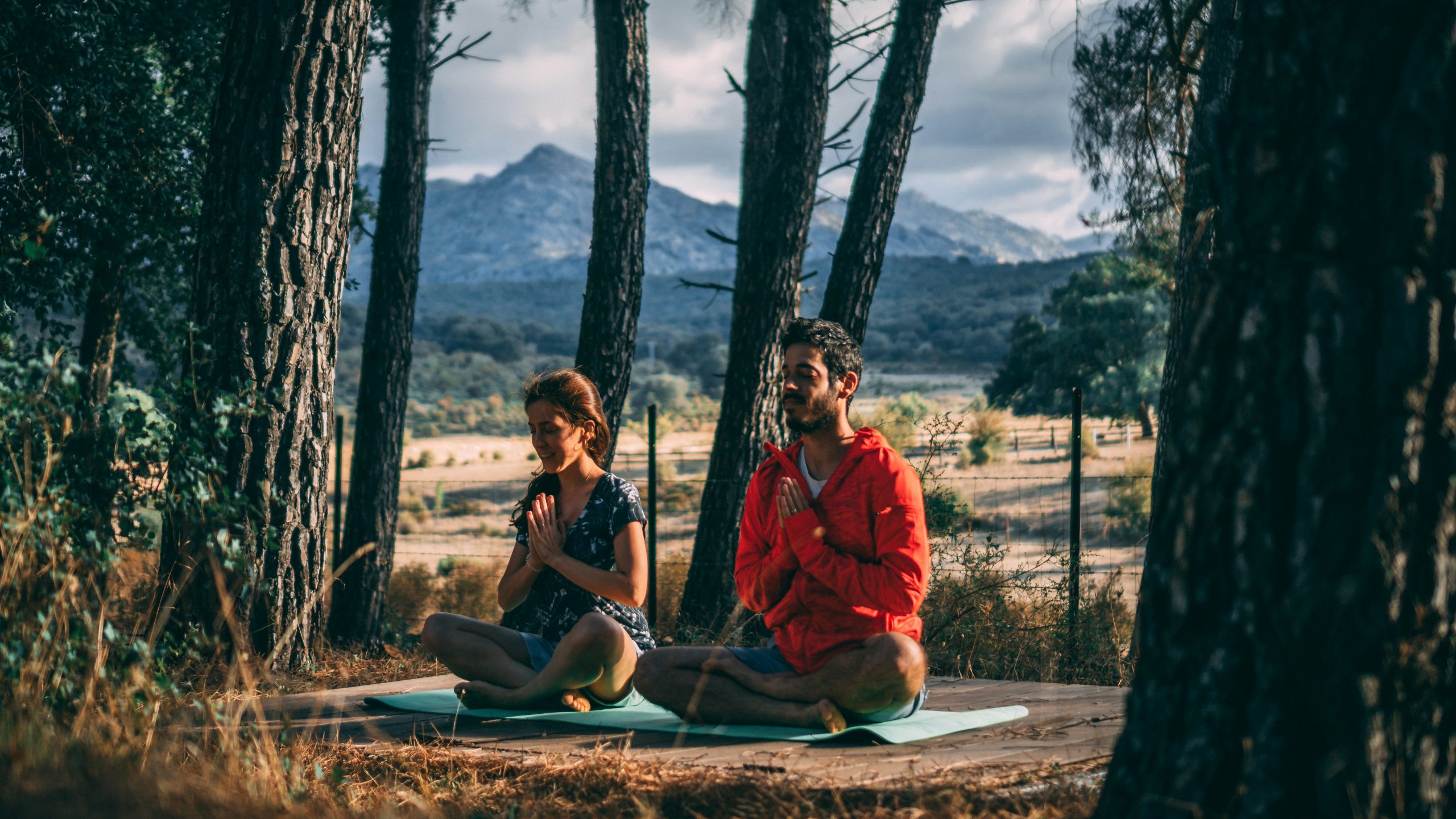 lior shapira d1 jyhlxxte unsplash